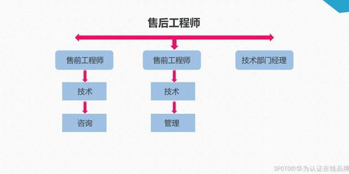 熊猫同学观察丨2021年网络工程师行业透视与未来两年入行指南